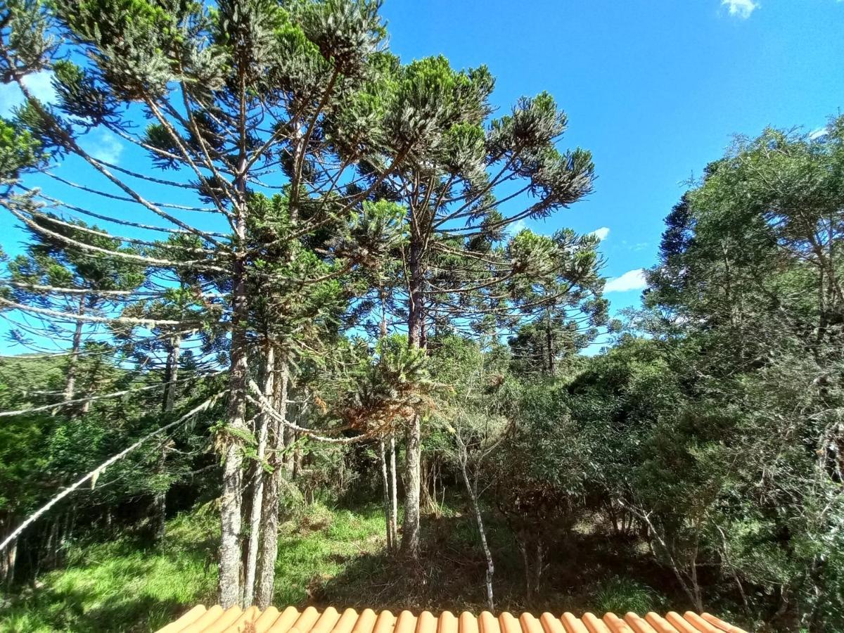 Cabana Na Floresta Rincao Do Fortaleza Cambará Buitenkant foto