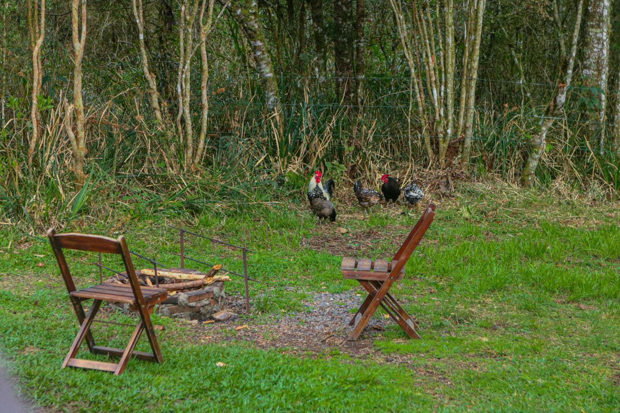 Cabana Na Floresta Rincao Do Fortaleza Cambará Buitenkant foto